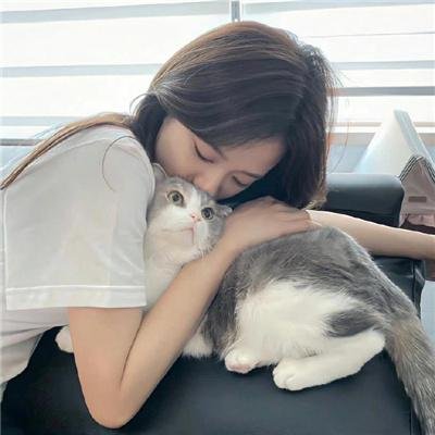消失的白鼠