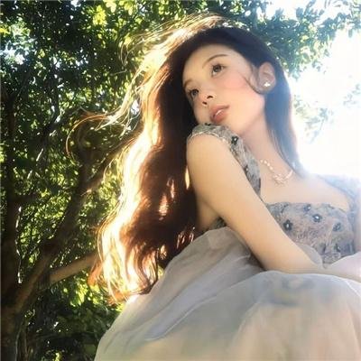 没人瞭波斯猫